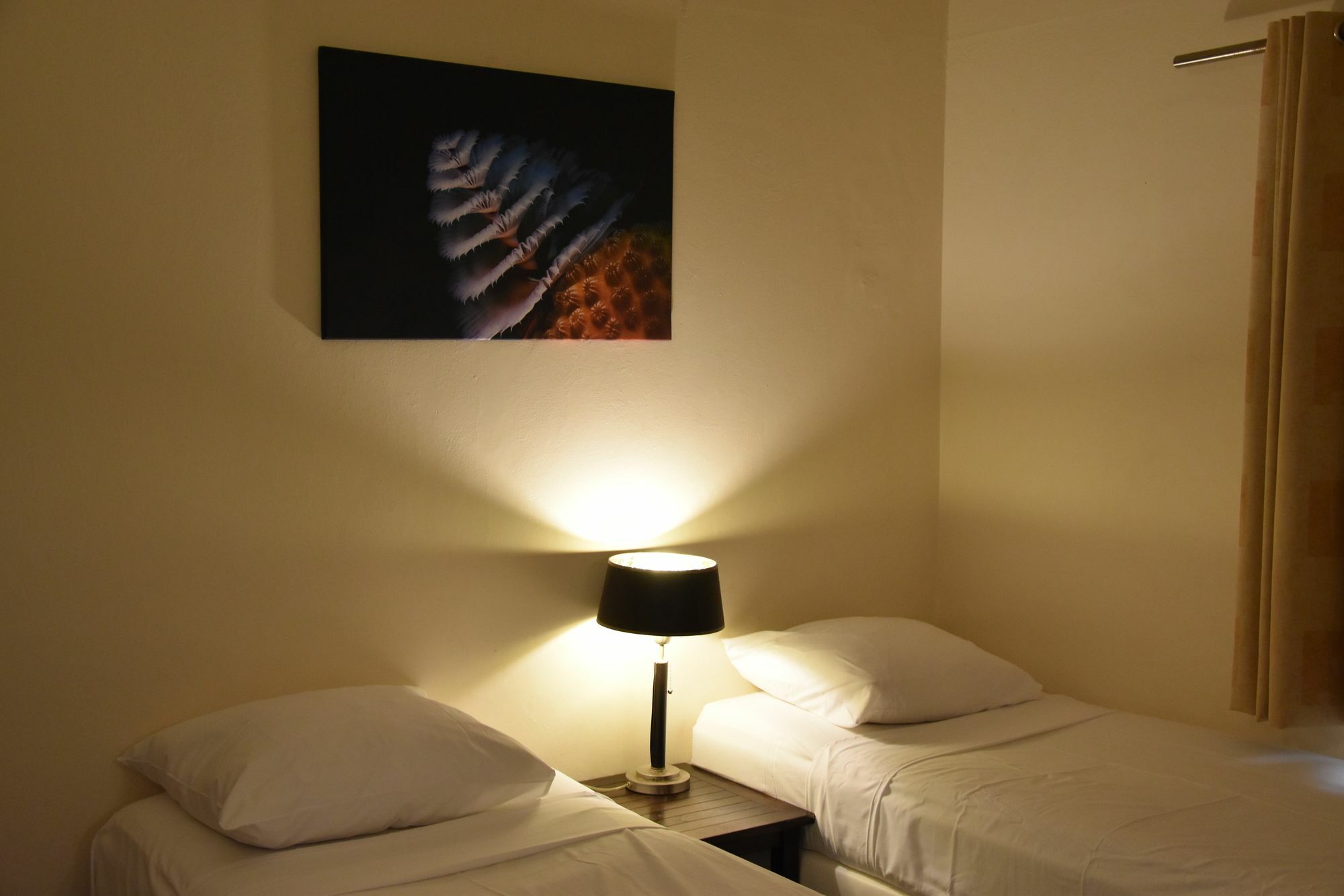 Caribbean Club Bonaire Aparthotel Buitenkant foto